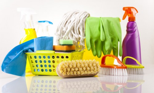 Window cleaning service for Battersea homes and flats