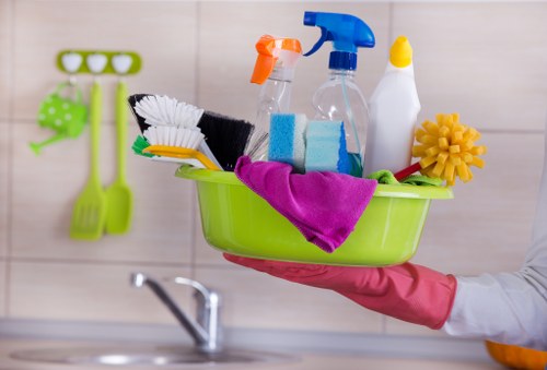 Freshening a Battersea home after pet accidents and stains