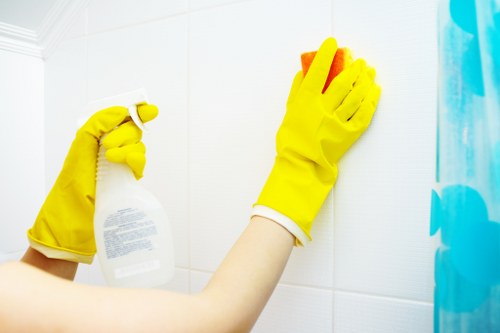 Professional mattress cleaning service for a Battersea home