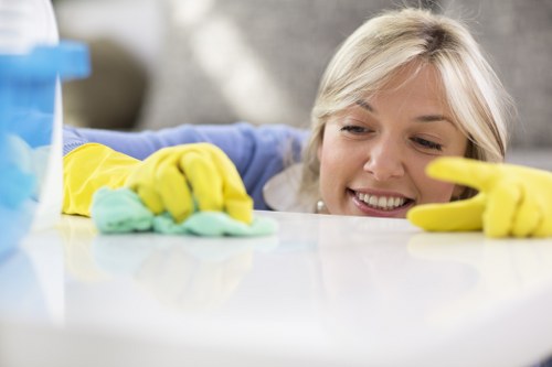 Closing illustration for Battersea Cleaner cookie policy summary
