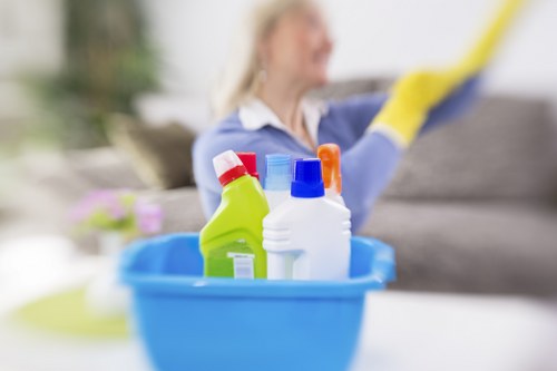 Local cleaners working in a Battersea flat