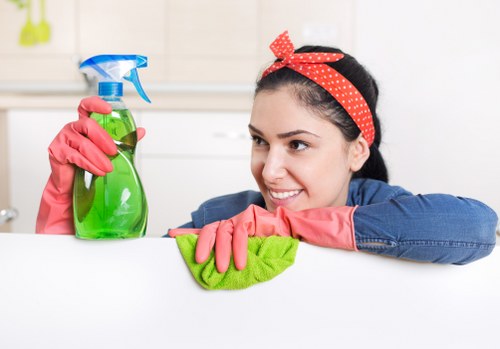 Step-by-step stain removal process for Battersea customers
