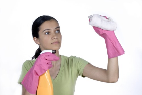 Deep cleaning support for a Battersea flat